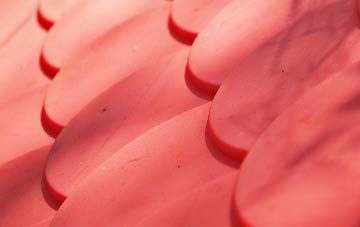 Thurleigh plastic roof costs